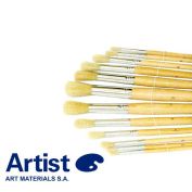 Artist blister brushes