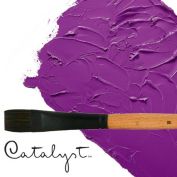 Catalyst acrylic and oil synthethic brushes
