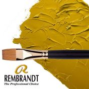 Rembrandt pinzells acrílic i oli